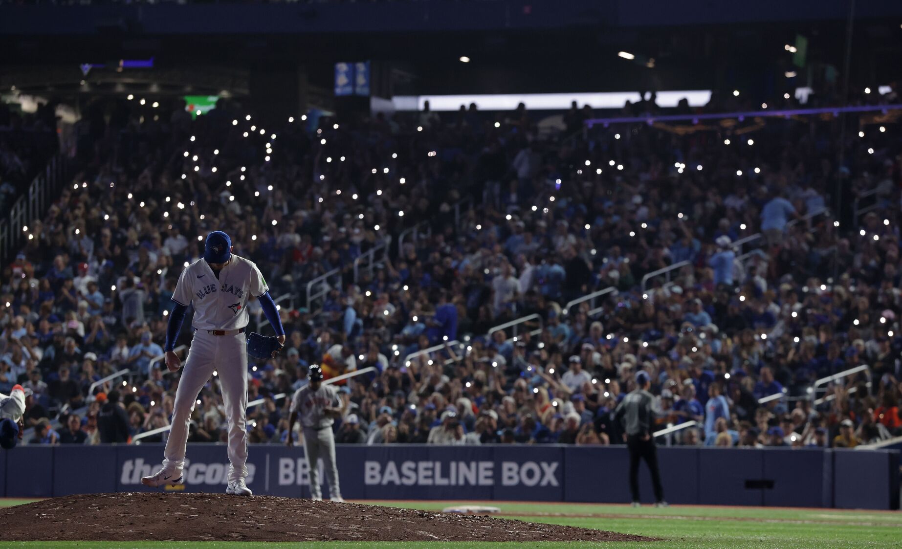 jays hoffman.JPG